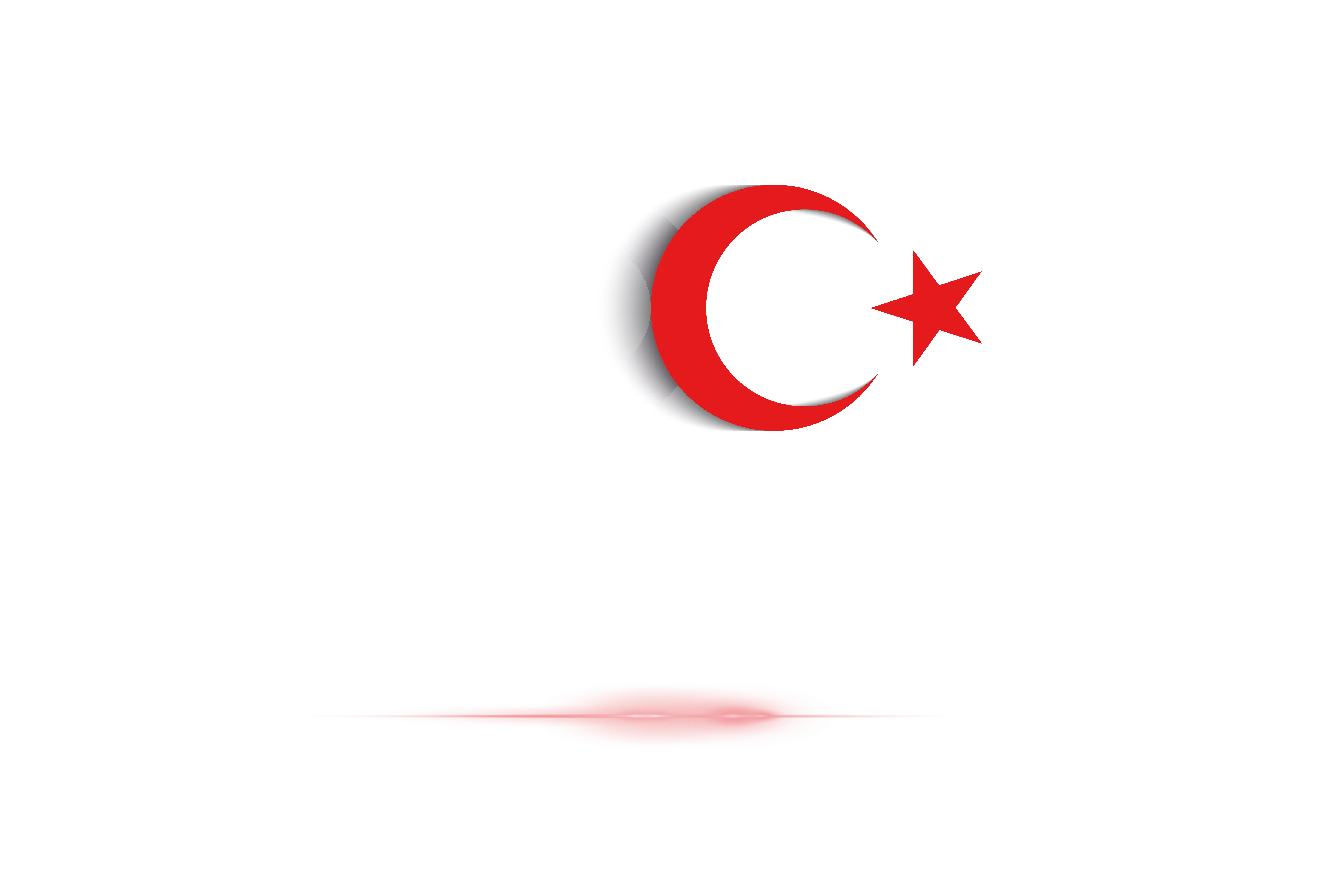 Cumhuriyetimizin 100. Yılı kutlu olsun!