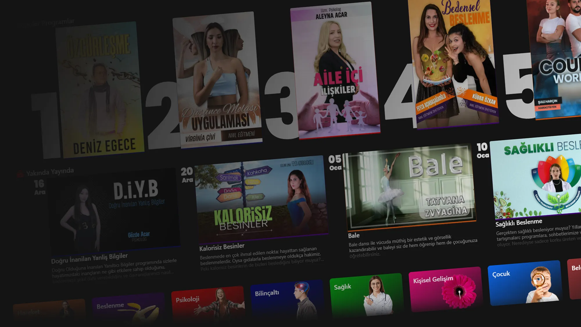 egece tv banner